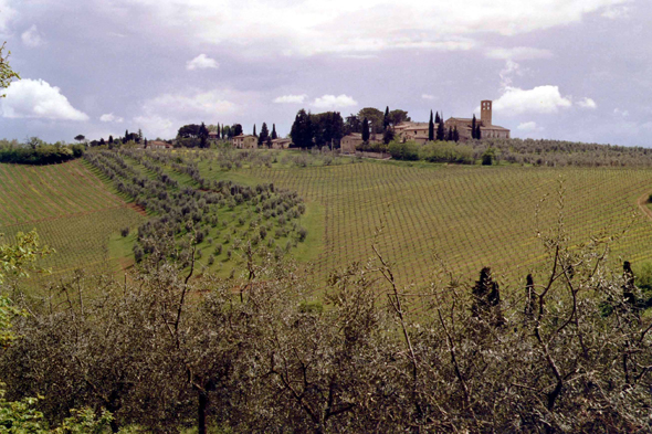 Italie, paysage de Toscane