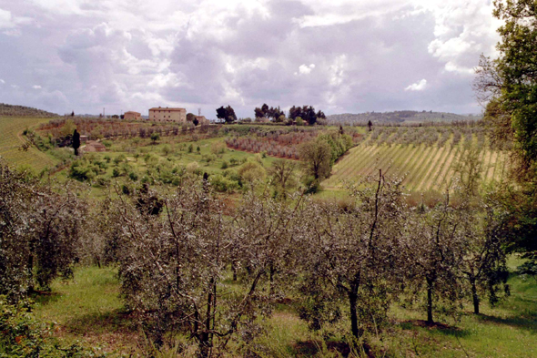 Paysage de Toscane, Italie