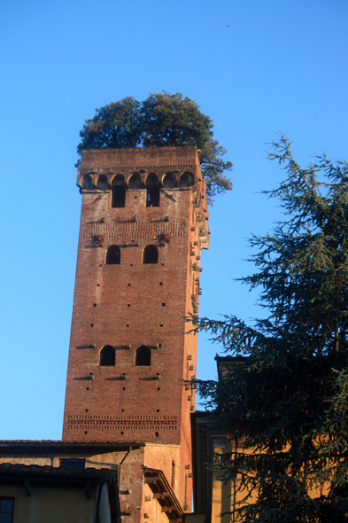 Lucques, torre Guinigi