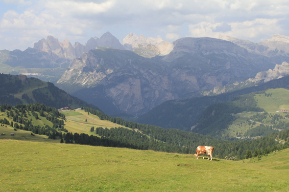 Col de Sella, paysage