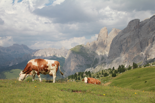 Dolomites, paysage