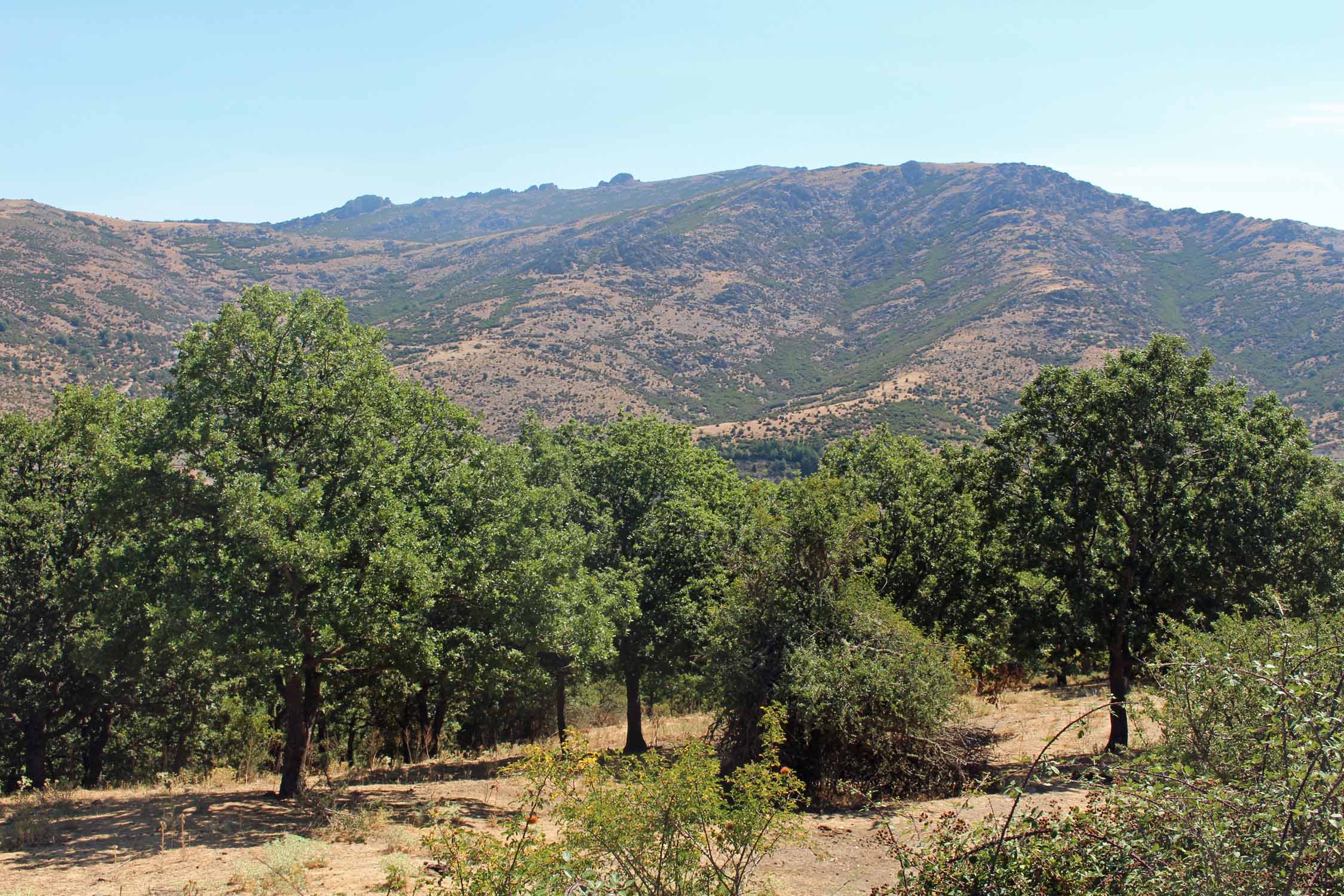 Sardaigne, Gennargentu, paysage