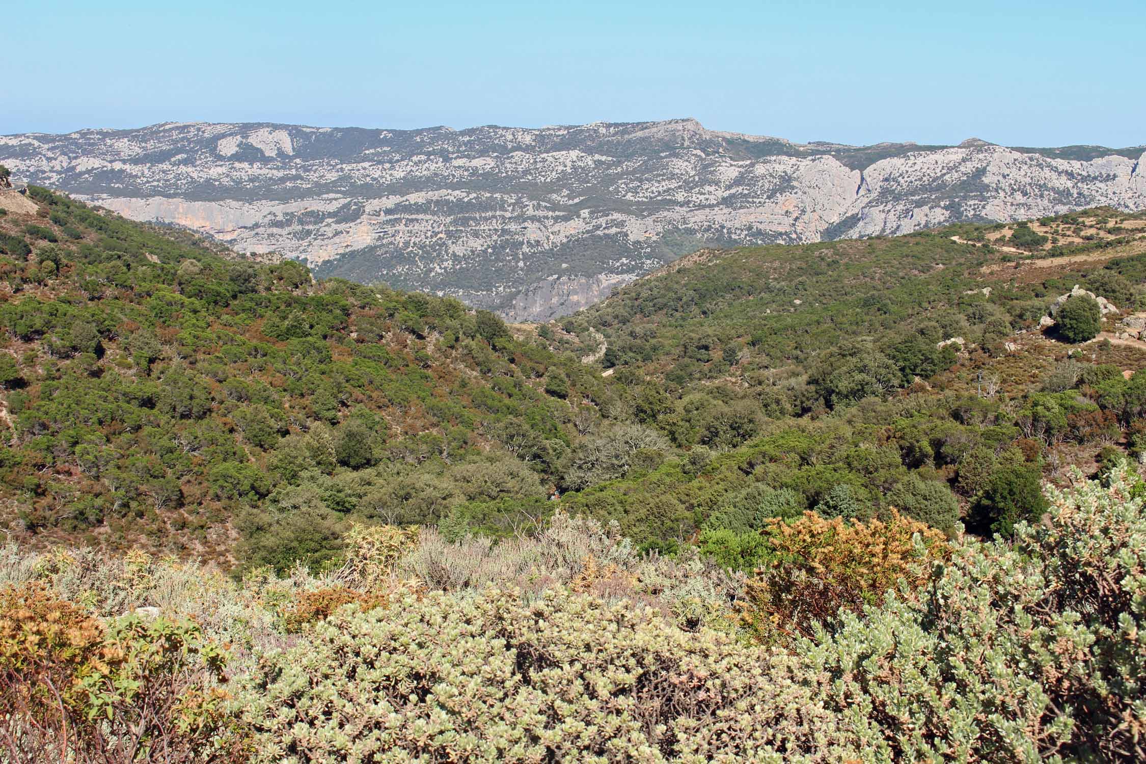 Sardaigne, paysage, Urzulei