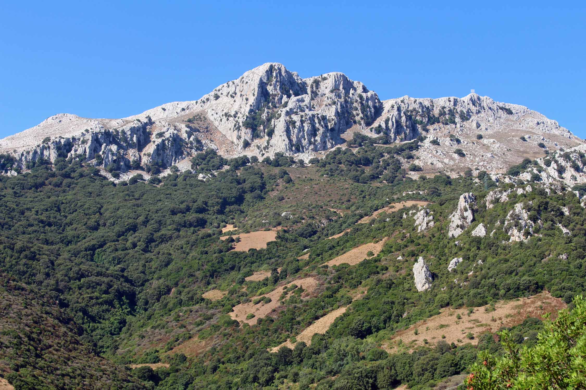 Sardaigne, Punta Cupetti