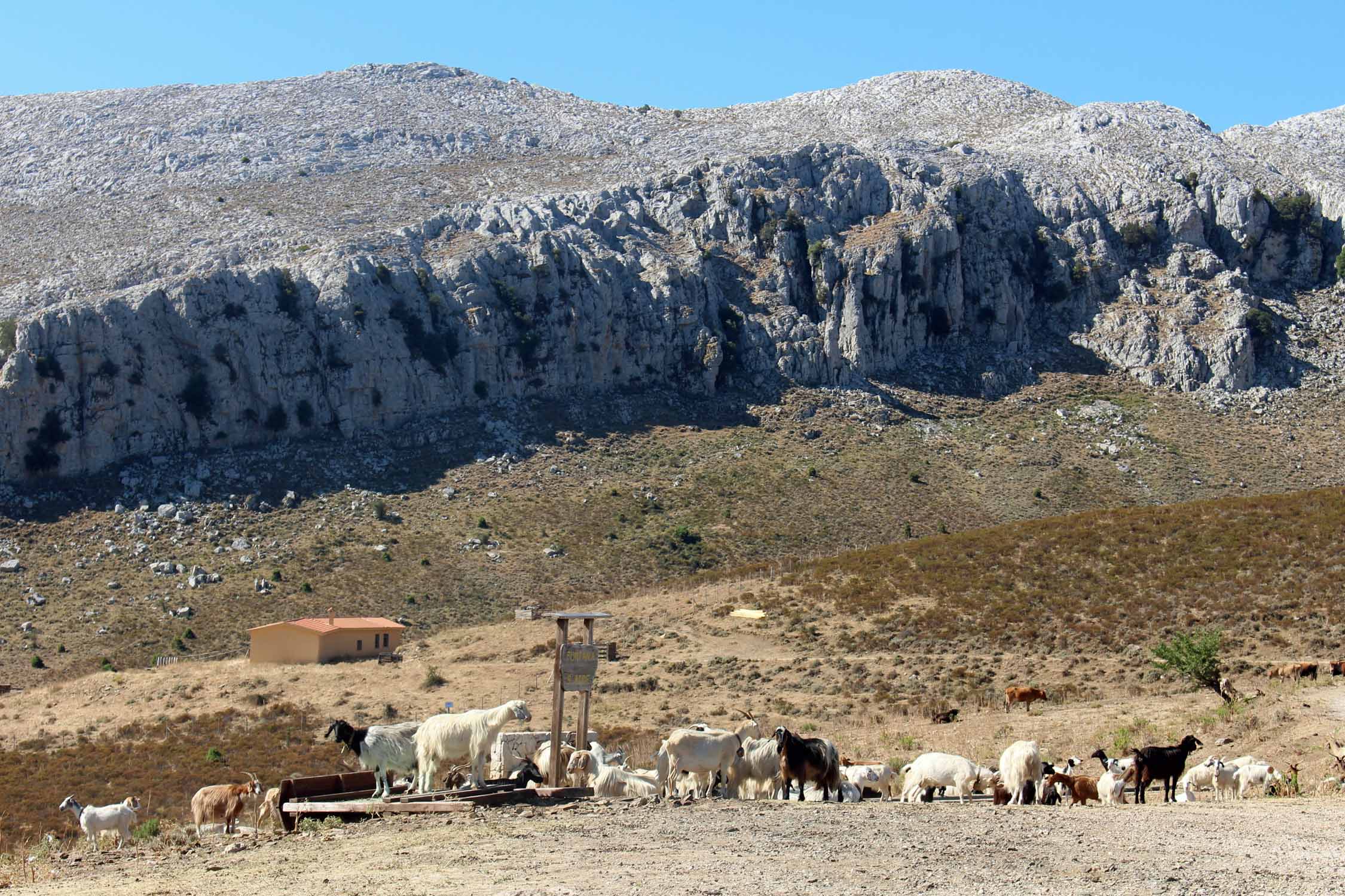 Sardaigne, Mont'Albo