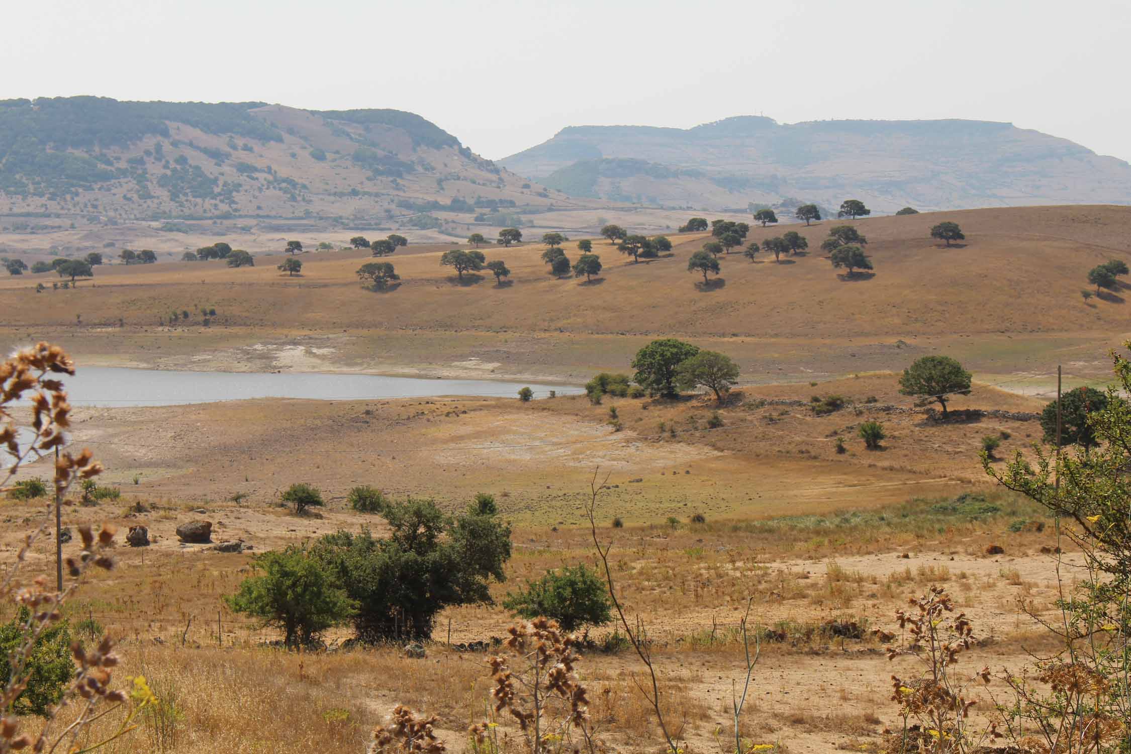 Thiesi, paysage