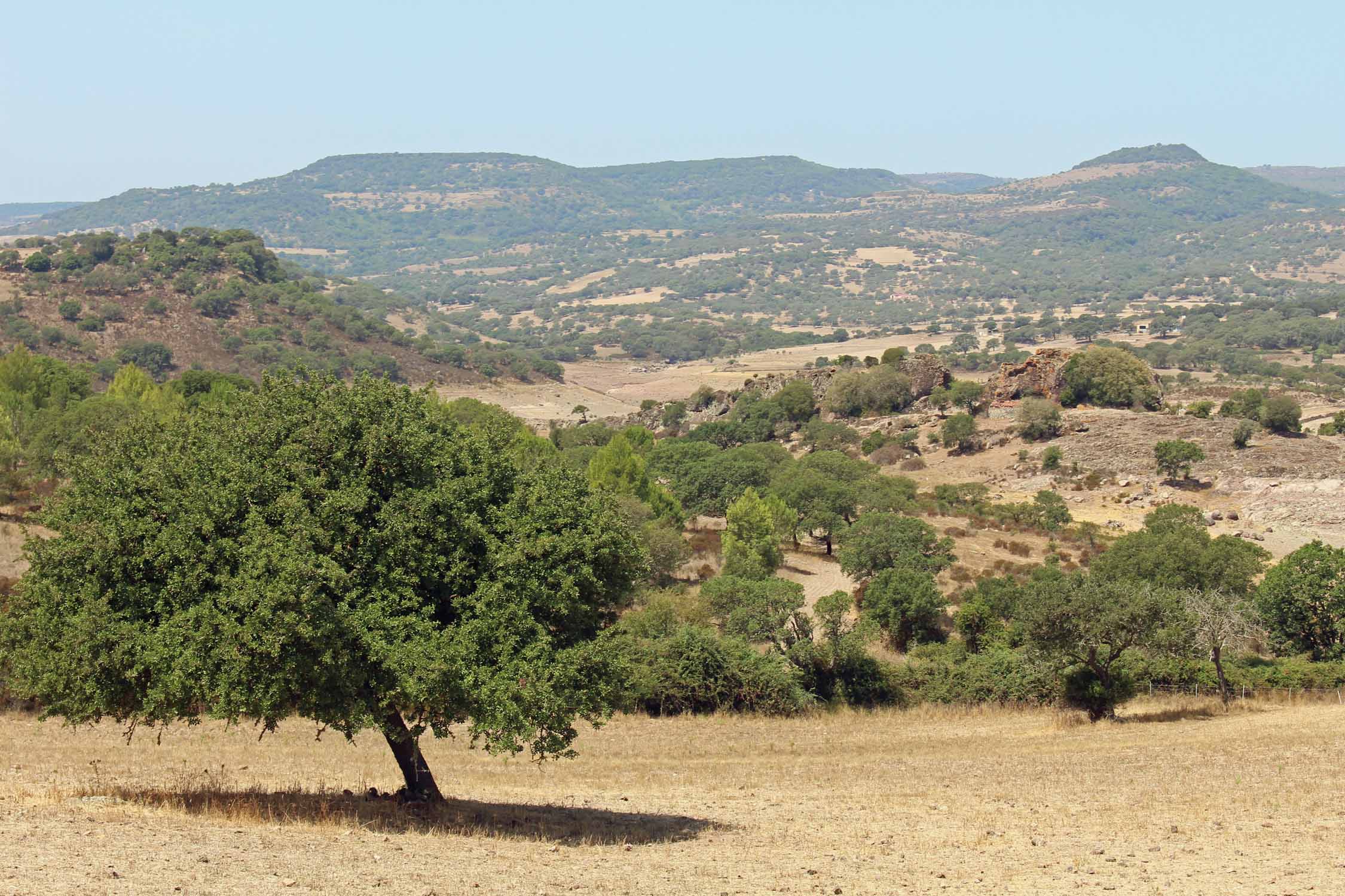 Sardaigne, lac Alto Temo, paysage