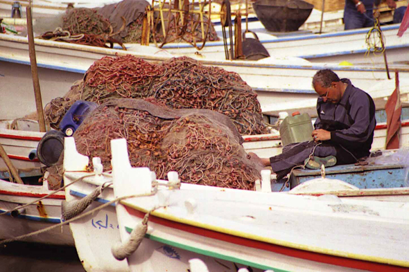 Port de Tyr, filets