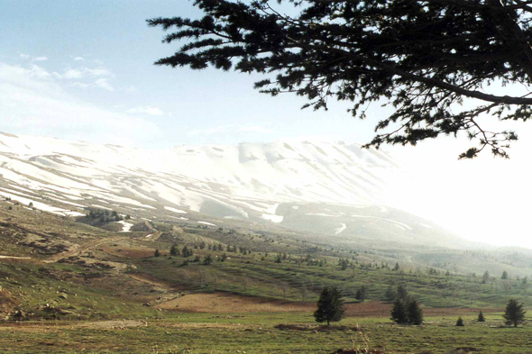 Les Cèdres, ski, Dahr el-Kadib