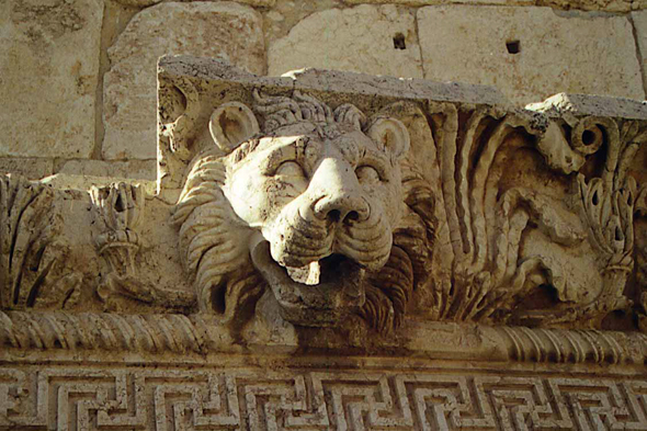 Ruines de Baalbeck, lion