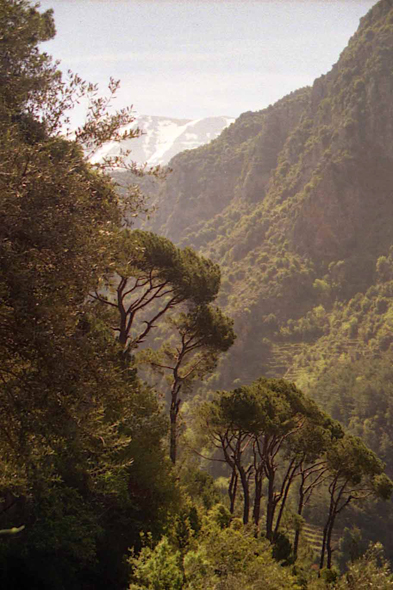 Vallée de la Qadisha