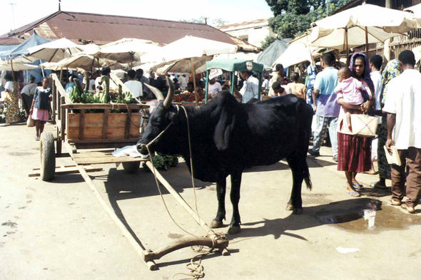 Nosy Be, marché