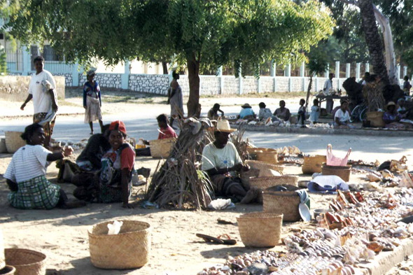 Toliara, marché aux coquillages