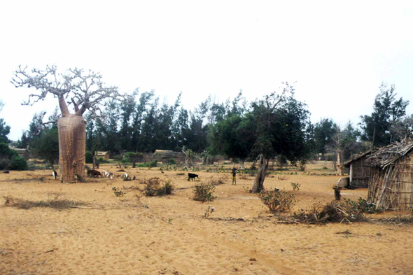 Madagascar, village d'Ifaty