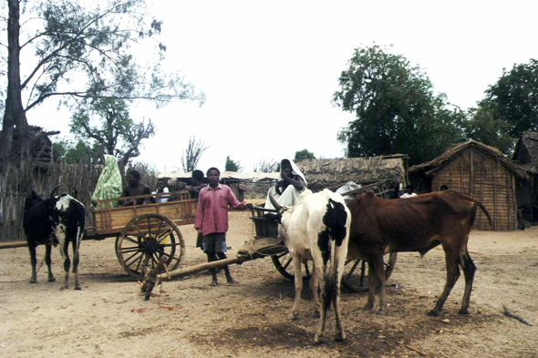 Madagascar, Ifaty