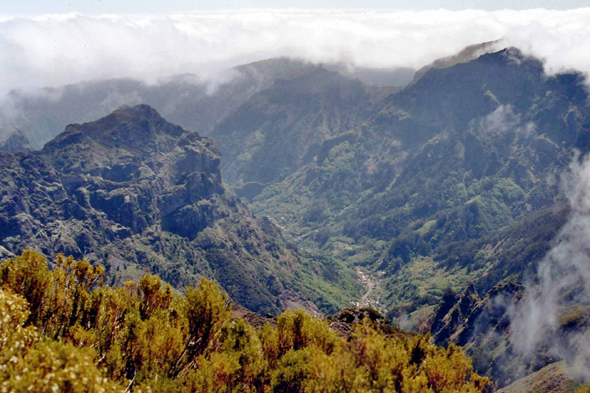 Madère, Vallée de Fajã dos Cardos