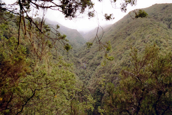 Madère, Caldeirão Verde, levada