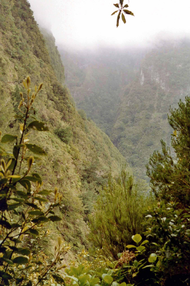 Madère, Caldeirão Verde, volcan