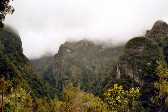 Madère, Caldeirão Verde, paysage