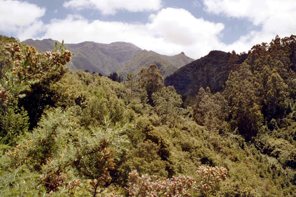 Madère, Vale da Lapa