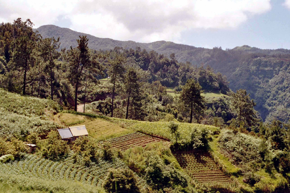 Madère, Vale da Lapa, paysage