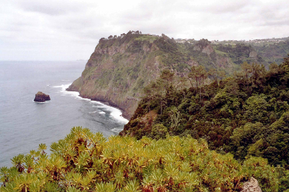 Madère, Rochas das Vinhas