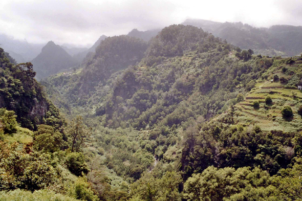 Madère, Faial, paysage