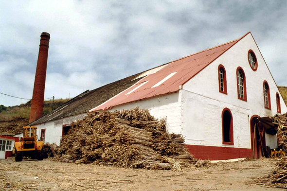 Madère, Porto da Cruz, rhum