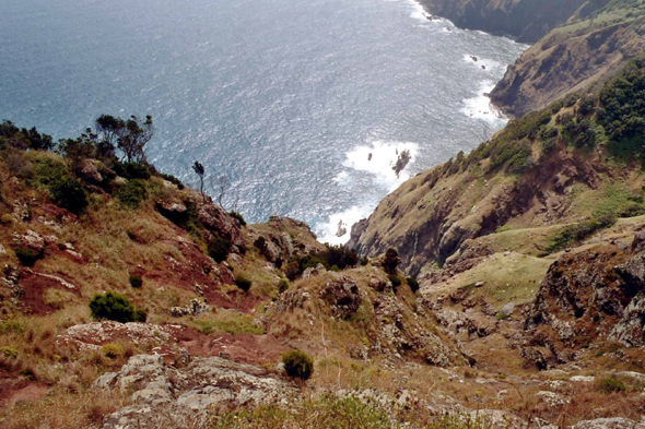 Madère, Cova das Pedras, falaises