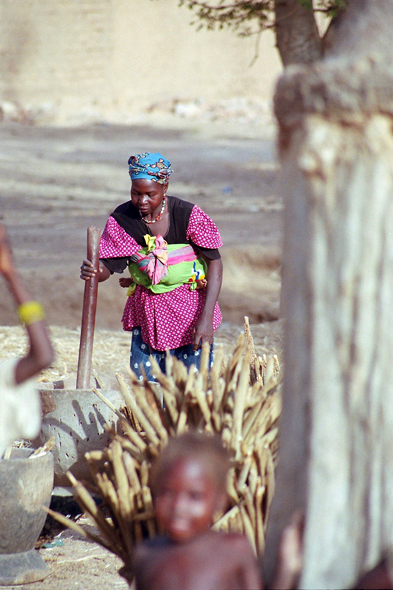 Pays Dogon, pilage du mil