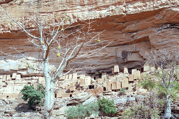 Falaise de Bandiagara, village de Endé