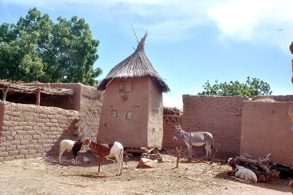 Pays Dogon, Toro