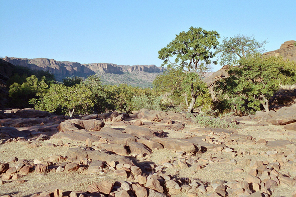 Pays Dogon, paysage