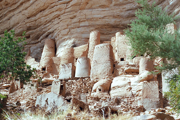 Pays Dogon, Amani