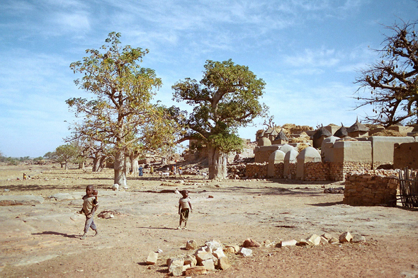 Pays Dogon, Sangha