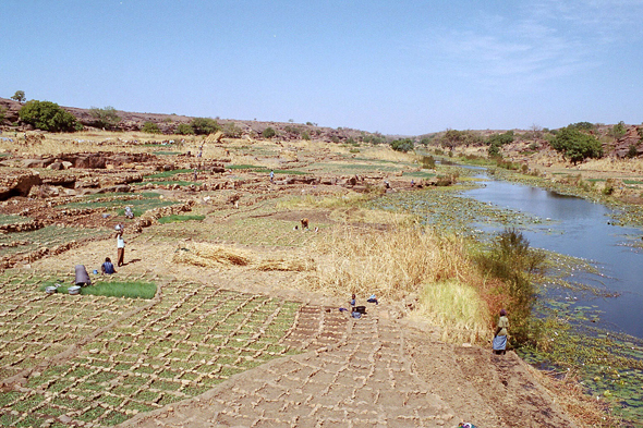 Falaise de Bandiagara, rivière