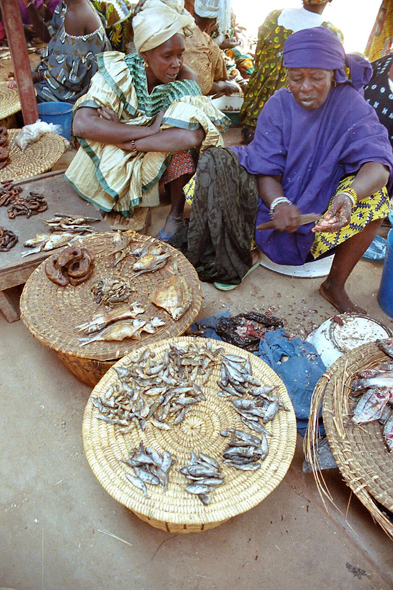 Djenné, marché, poissons