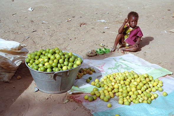 Marché de Djenné, oranges