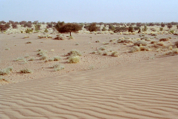 Sahara, Tombouctou