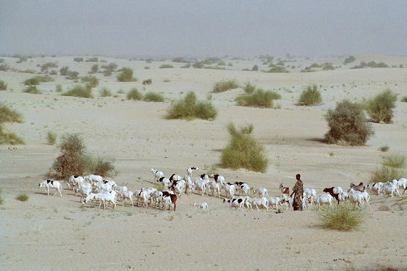 Tombouctou, Sahara