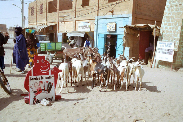 Tombouctou, maures