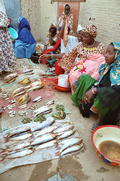 Marché de Tonka, poissons