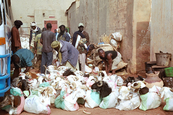 Biquettes, port de Mopti