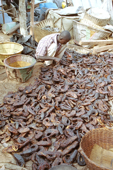 Mopti, marché, poissons