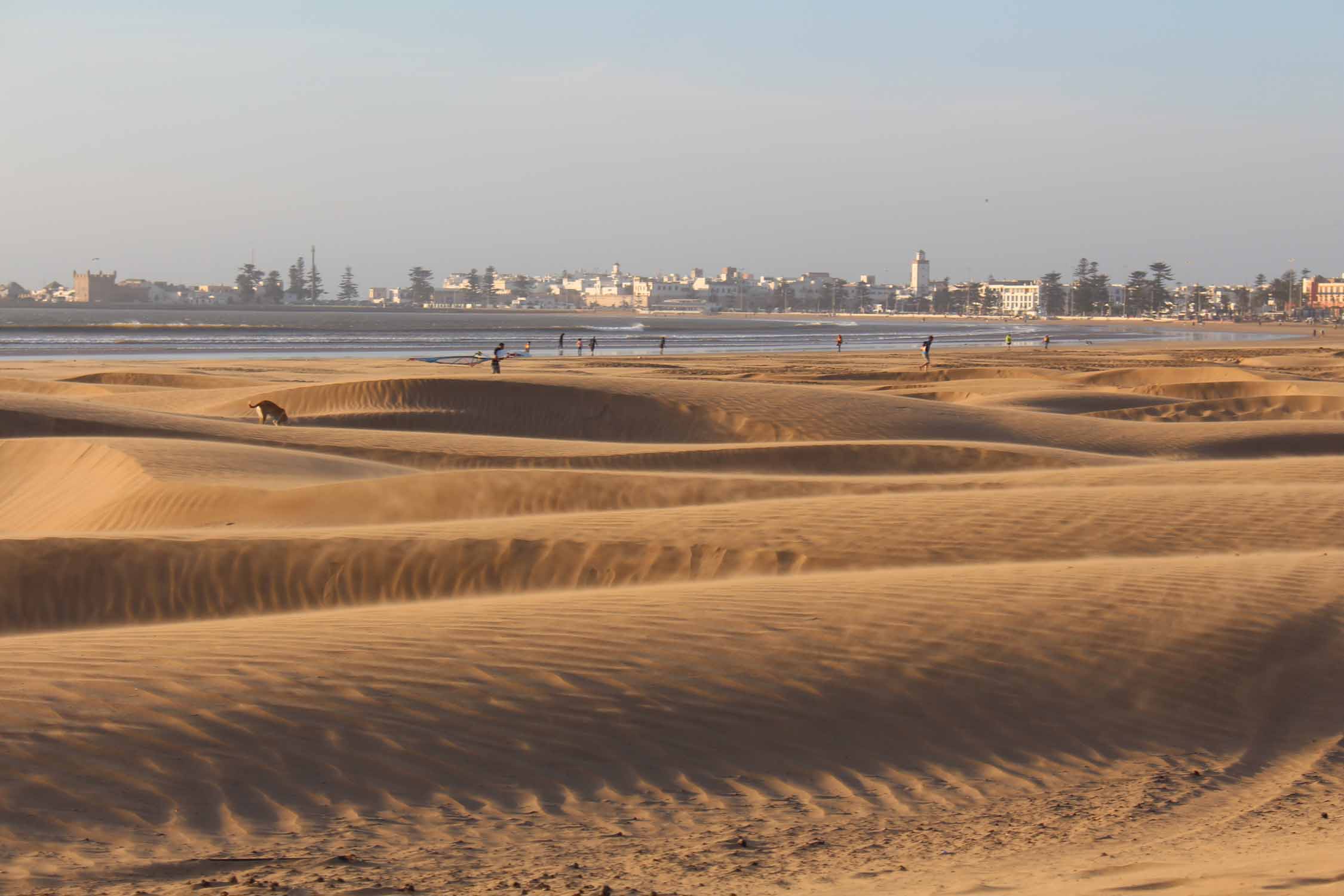 Essaouira, plage