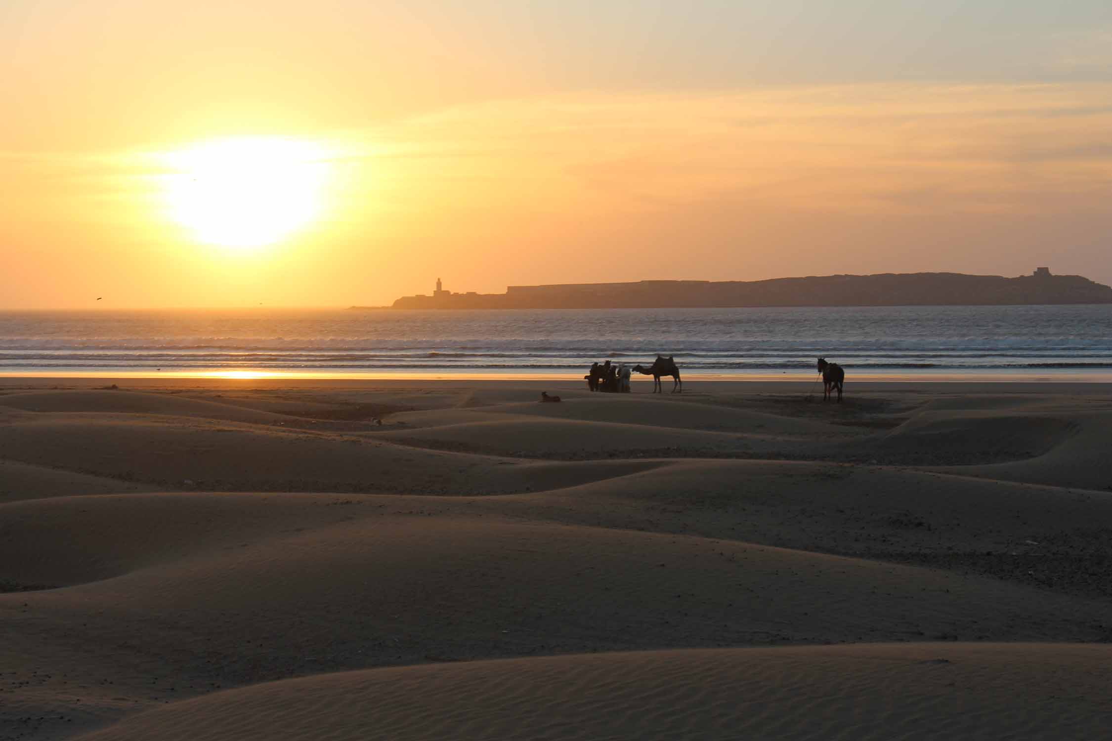 Essaouira, île de Mogador