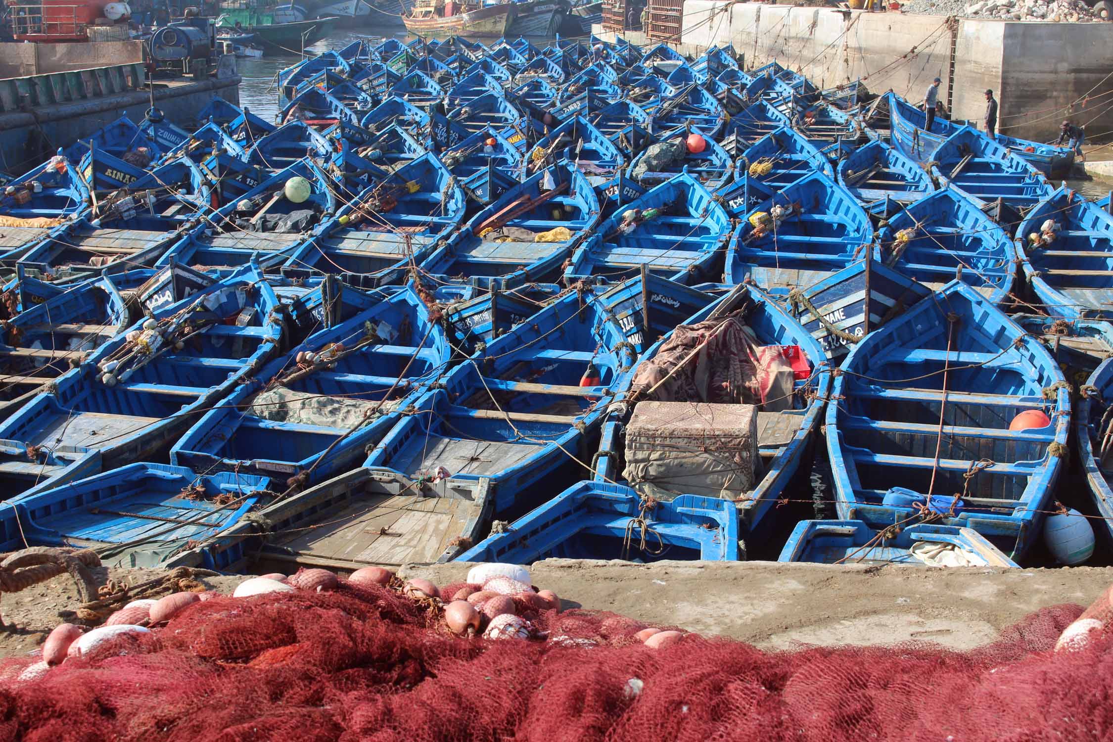 Essaouira, barques bleues