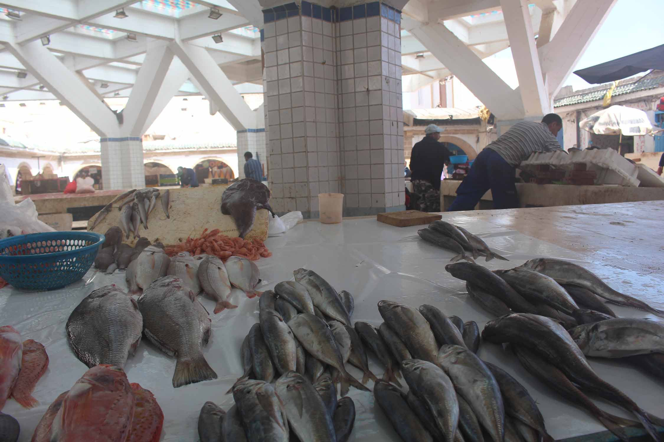 Essaouira, poissons