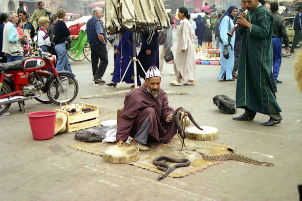 Place Jemaa el Fna, charmeur de serpent