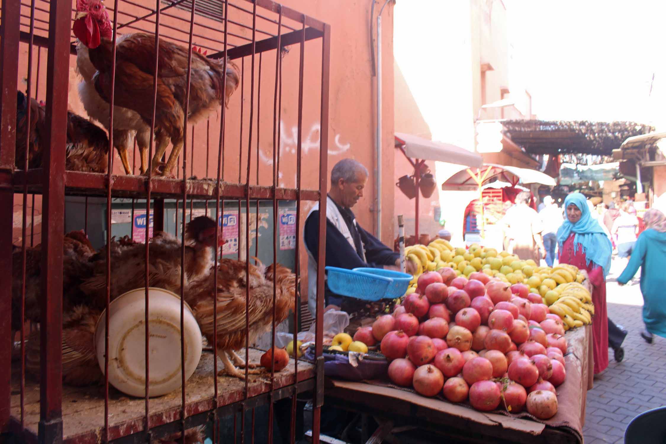 Marrakech, souk, fruits